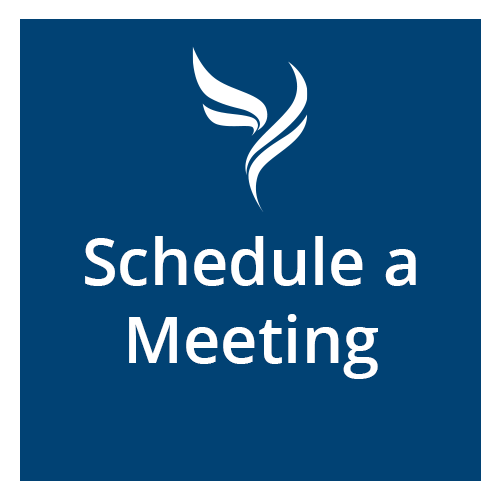 schedule a meeting